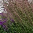 은척초등학교 이미지