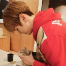 온지