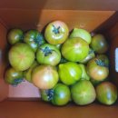 김상배농장 이미지