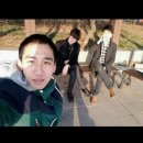 안선생