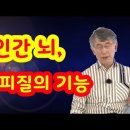 [행복 특강 ep.11] 인간 뇌, 대뇌피질의 기능 이미지