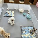 아이멍그라운드 이미지