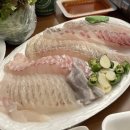 콧바람분식with커피꼴랑 | 2022年 03月 / 느릿느릿 시간이 흘렀던 거북이의 3월 일기