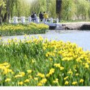 거창창포원 이미지