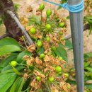 금이농장 이미지