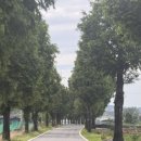 데이오프파주 이미지