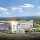 골목길 퍼레이드 ‘앨리스’ 이미지