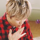 이불 속 댕댕이 이미지