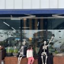 파주 눌노리 체험 캠핑장 이미지