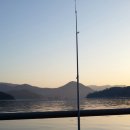 해상콘도 Daum카페
