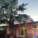 제주서쪽감성숙소 제주애물들다 이미지