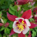 행복의섬 이미지