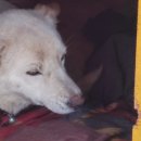 초록언덕펜션 이미지