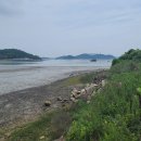 녹진무궁화동산 이미지