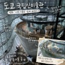 신*선 - 미추홀구 낙섬동로 9 | 도쿄 여행 <너의 이름은> 카페 성지순례! 건축과 채광이 예술인 도쿄 국립신미술관 방문후기