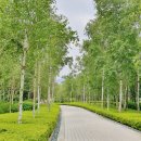 주식회사새한환경 | 원주여행) 뮤지엄산 (Museum SAN) - 자연과 예술의 만남