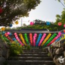 양양명주사부도군 이미지