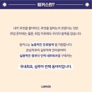 [LINKUS 7기 스태프] 링커스, 진로 설계와 취업을 위한 최고의 동아리
