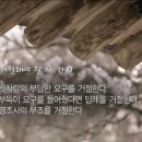 삼거