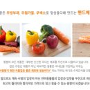 왕짱애견유치원 이미지