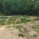 명곡동010 이미지