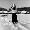 신구대학교식물원 갤러리 우촌 이미지