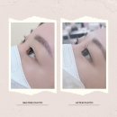 샵 다란 이미지