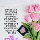 7월31일강원방월요일출석부 이미지