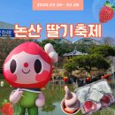 버스정류장-기민중 | 2026 논산딸기축제 후기 먹거리 간식 추천 성심당 버스 꿀팁