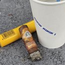 BRONZE(브론즈) 이미지