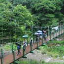 해피카센타 이미지