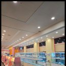 강아지와 고양이 이미지