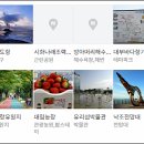 더제이에스부동산중개법인 이미지