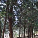 회성동 체육시설 이미지