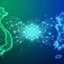 굿모닝헬스테크 | 베트남 AI 스타트업의 '국산화' 전략 — 한국 AI 기업이 배울 점