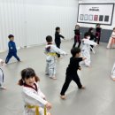 THE바른태권도 이미지