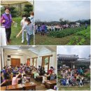 전주신동초등학교 이미지