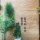 38.5독 | 이번 개헤엄은 청주 애견카페 38.5독에서 즐기겠어