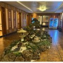 일식와사비 이미지