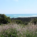 신흥1리 사무소 이미지