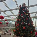 봉쥬르 | 팔당 드라이브 코스 추천 봉쥬르 카페 내돈내산 후기 (위치, 메뉴, 메뉴추천, 영업시간, 포토스팟, 펫...