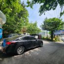 솔내음 백숙 이미지