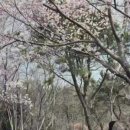 미향각 네이버블로그