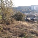 송산면사무소 이미지