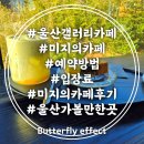 미지 | 울산 갤러리카페 미지의 입장료 예약 메뉴 후기