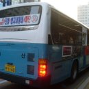 하단동211 이미지