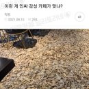 갬성스토리
