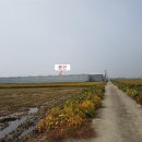 덕진-133 네이버블로그
