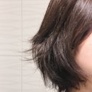 헬스케어플라워 | 올리브영샴푸 요루 캄 나이트 리페어 라인, 나이트케어 손상모샴푸 트린트먼트 추천