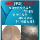 제이와이비(JYB) 이미지